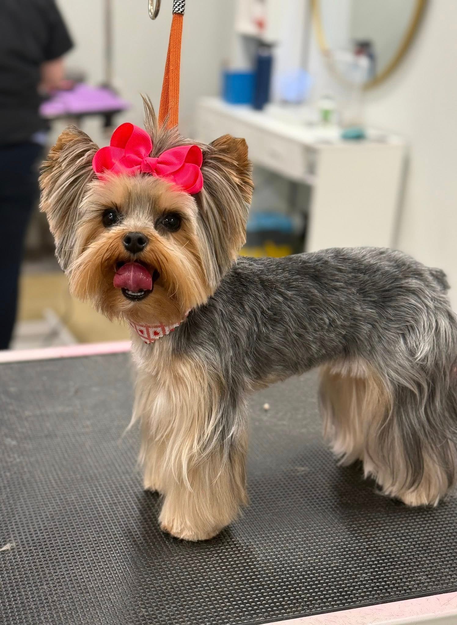 Barks and Bubbles photo